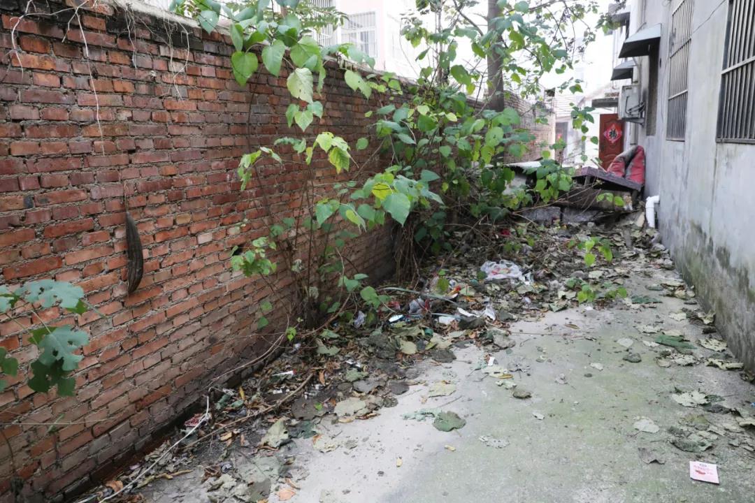微信圖片_20220110155103.jpg